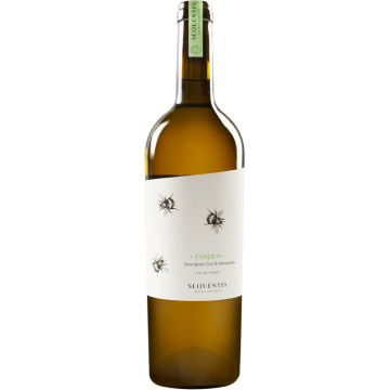 Tandem 2023 - Sequentis Cépages Résistants - Vin de France - Weisswein - 0.75L