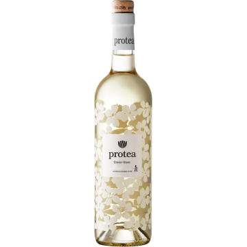 Protea Chenin Blanc 2025 - Anthonij Rupert - - Weisswein - 0.75L