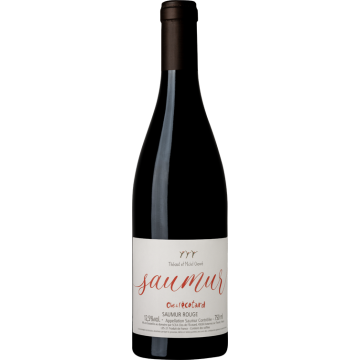 Saumur Rouge 2022 - Clos de l'Écotard - Saumur - Rotwein - 0.75L