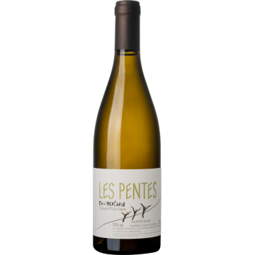 Les Pentes 2021 - Clos de l'Écotard - Saumur - Weisswein - 0.75L