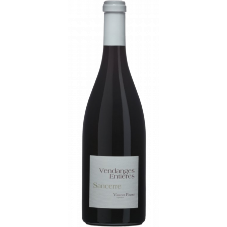 Vendanges Entières 2023 - Vincent Pinard Vendanges Entières 2023 - Vincent Pinard