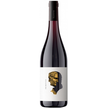 Otre Primitivo 2024 - Cantine Teanum - Puglia - Rotwein - 0.75L