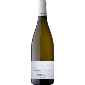 Ampelomeryx Blanc 2024 - Pellehaut - Vin de France - Weisswein - 0.75L