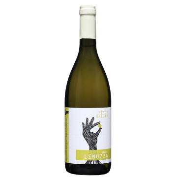 Pinot Grigio 2024 - Vigna Lenuzza - Friuli Colli Orientali - Weisswein - 0.75L
