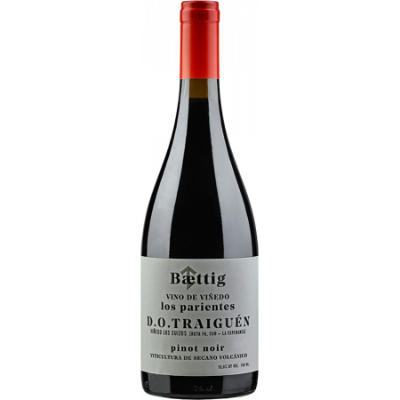 Vino de Vinedo Vino de Vinedo