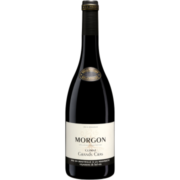 Les Grands Cras 2024 - Vignerons de Bel Air - Morgon - Rotwein - 0.75L