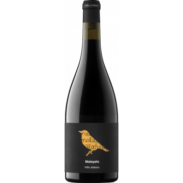 Malayeto 2024 - Viña Zorzal - Navarra - Rotwein - 0.75L