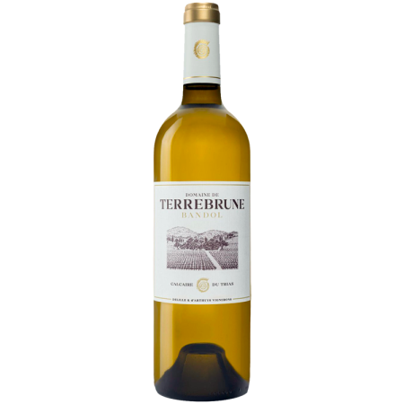 Blanc 2024 - Domaine de Terrebrune Blanc 2024 - Domaine de Terrebrune