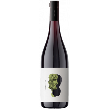 Otre Aglianico 2022 - Cantine Teanum - Puglia - Rotwein - 0.75L