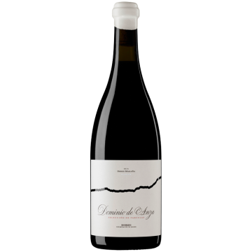 Selección de Parcelas 2022 - Bodegas Viña Magaña - Bierzo - Rotwein - 0.75L