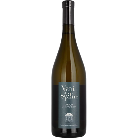 Vent de Spilite 2024 - Domaine Ogereau Vent de Spilite 2024 - Domaine Ogereau