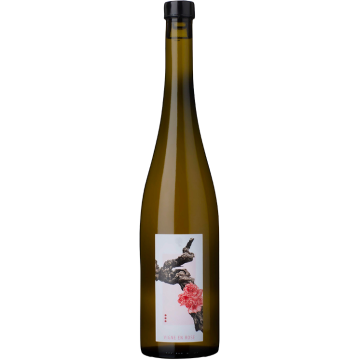 Vigne en Rose 2023 - Vignoble du Rêveur - Alsace - Weisswein - 0.75L