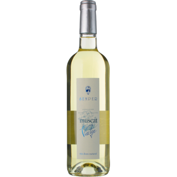 Muscat de Rivesaltes 2025 - Domaine Semper - Muscat de Rivesaltes - Weisswein - 0.75L
