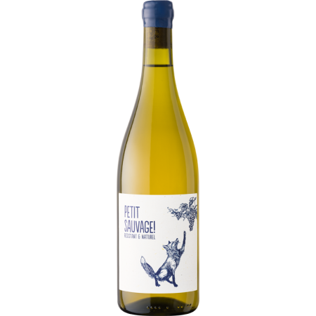 Petit Sauvage blanc 2025 - Cépage résistant - Pierre & Antonin Petit Sauvage blanc 2025 - Cépage résistant - Pierre & Antonin