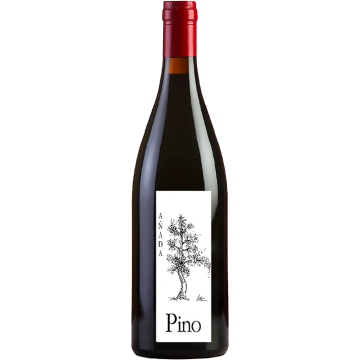 Pino 2024 - Ponce - Manchuela - Rotwein - 0.75L