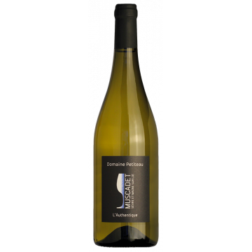 Muscadet Sèvre et Maine Sur Lie - L' Authentique 2025 - Domaine Petiteau - Muscadet Sèvre et Maine - Weisswein - 0.75L