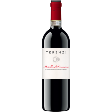 Morellino di Scansano 2024 - Terenzi - Morellino di Scansano - Rotwein - 0.75L