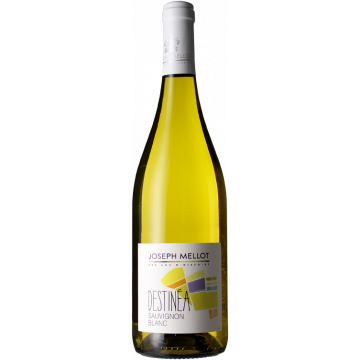 Sauvignon Blanc - Destinea 2025 - Joseph Mellot - Val de Loire - Weisswein - 0.75L