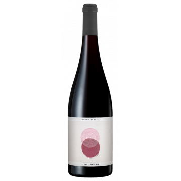 Pinot Noir 2025 - Sophie Schaal - Alsace Pinot Noir - Rotwein - 0.75L