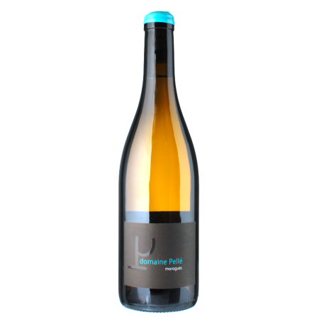Morogues 2024 - Domaine Henry Pellé Morogues 2024 - Domaine Henry Pellé