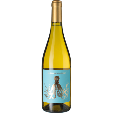 Le Poulpe Magique 2024 - Famille Arbeau - Comté Tolosan - Weisswein - 0.75L