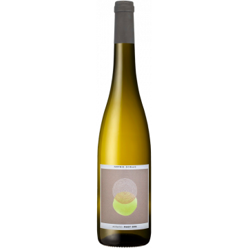 Pinot Gris 2025 - Sophie Schaal - Elsass Grauburgunder - Weisswein - 0.75L