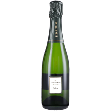 Halbe Flasche - Franciacorta Brut - Ferghettina - 0.375L