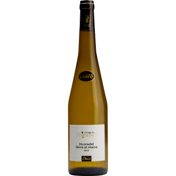 Muscadet Sèvre et Maine Sur Lie Prestige 2025 - Domaine de L’Espérance - Muscadet Sèvre et Maine - Weisswein - 0.75L