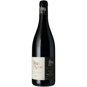 Terres Chaudes 2024 - Domaine Roches Neuves Thierry Germain - Saumur Champigny - Rotwein - 0.75L
