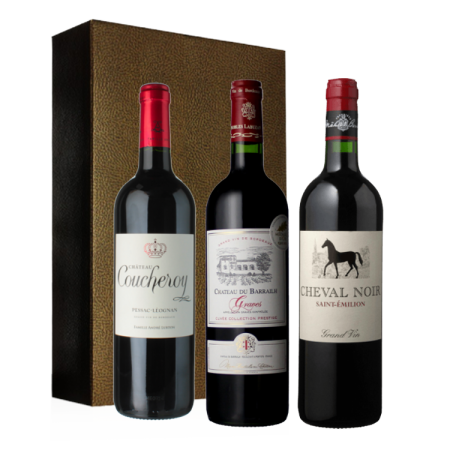 Geschenkset - Bordeaux Jg. 2022 Special - 3 Fl. Geschenkset - Bordeaux Jg. 2022 Special - 3 Fl.