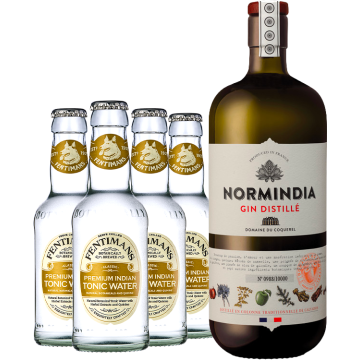 Pack Gin + 4 tonics Fentimans