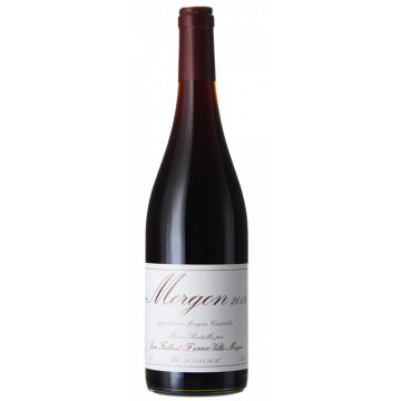 Morgon 2024 - Jean Foillard - Morgon - Rotwein - 0.75L