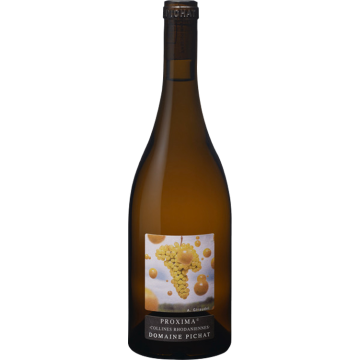 Proxima Viognier 2025 - Domaine Stéphane Pichat - Collines Rhodaniennes - Weisswein - 0.75L