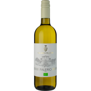 Falerio 2025 - Saladini Pilastri - Falerio - Weisswein - 0.75L
