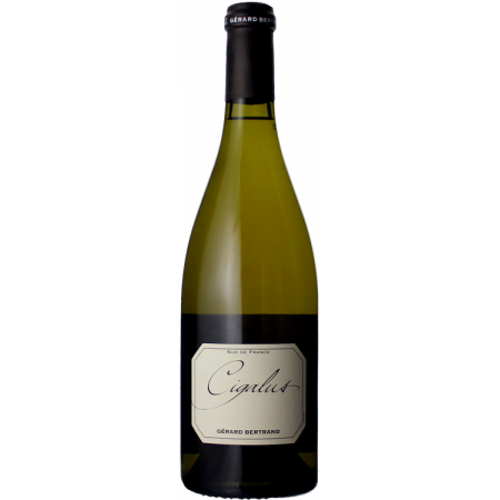 Cigalus Blanc 2025 - Gérard Bertrand Cigalus Blanc 2025 - Gérard Bertrand