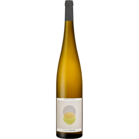 Magnum - Riesling 2025 - Sophie Schaal Magnum - Riesling 2025 - Sophie Schaal