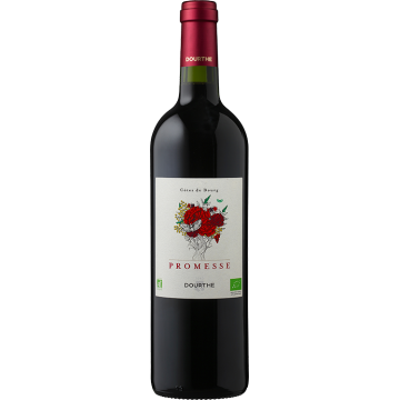 Promesse de Dourthe 2025 - Côtes de Bourg - Rotwein - 0.75L