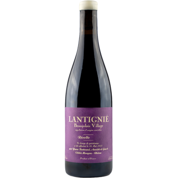 Lantignié 2025 - Les Bertrand - Beaujolais - Rotwein - 0.75L