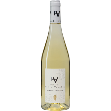 Biancu Gentile 2025 - Domaine Terra Vecchia - Ile de Beauté - Weisswein - 0.75L