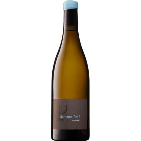 Morogues 2025 - Domaine Pellé Morogues 2025 - Domaine Pellé