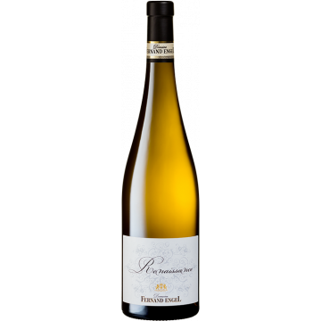 Sylvaner Renaissance 2023 - Domaine Fernand Engel - Alsace Sylvaner - Weisswein - 0.75L