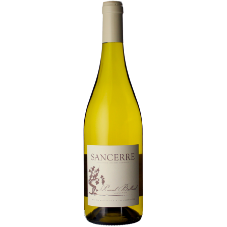 Sancerre 2025 - Pascal Balland Sancerre 2025 - Pascal Balland
