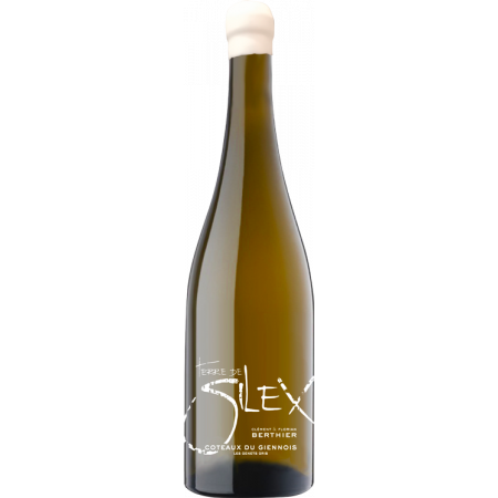 Terre de Silex 2024 - Clément & Florian Berthier Terre de Silex 2024 - Clément & Florian Berthier