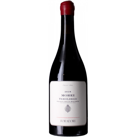 Morei 2023 - Foradori Morei 2023 - Foradori