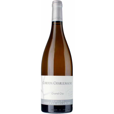 Corton Charlemagne Grand Cru 2022 - Domaine Delarche Corton Charlemagne Grand Cru 2022 - Domaine Delarche