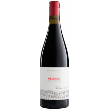 Pizarra 2022 - Pegaso - Telmo Rodríguez - Sierra de Gredos - Rotwein - 0.75L