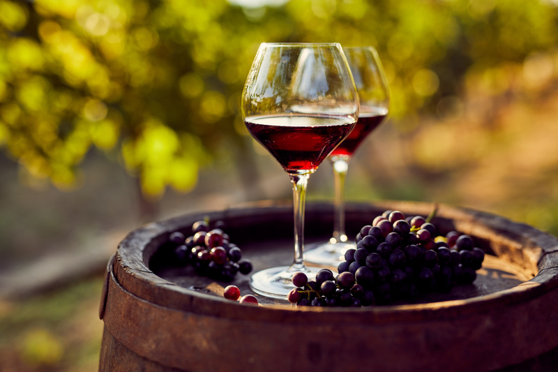 vin Rouge de Savoie, cépage mondeuse