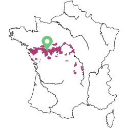 Carte de la Loire