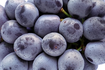 Spätburgunder, Pinot Noir online zum Bestpreis bei Vinatis kaufen.