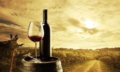 Garnacha bzw Grenache Rotwein wird überall angebaut und getrunken.